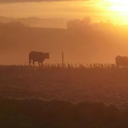 Etchola Дом отдыха Ramous