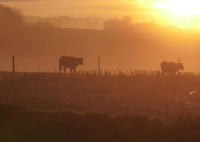 Etchola Дом отдыха Ramous